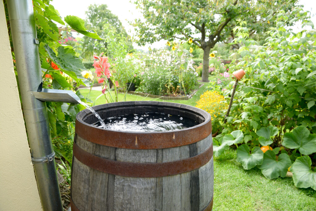 Regentonne im Garten